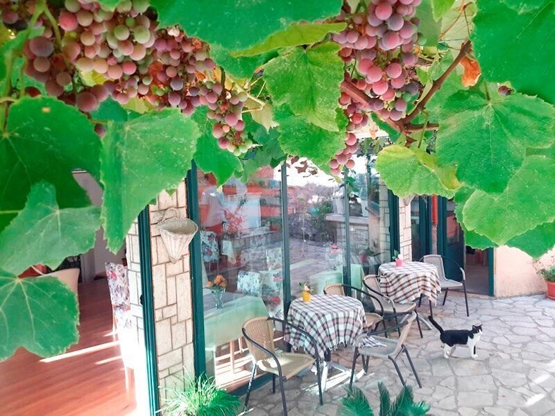 Панорама Villa Strugar 2*